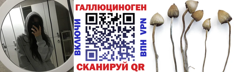 Галлюциногенные грибы Cubensis  hydra зеркало  Туринск 